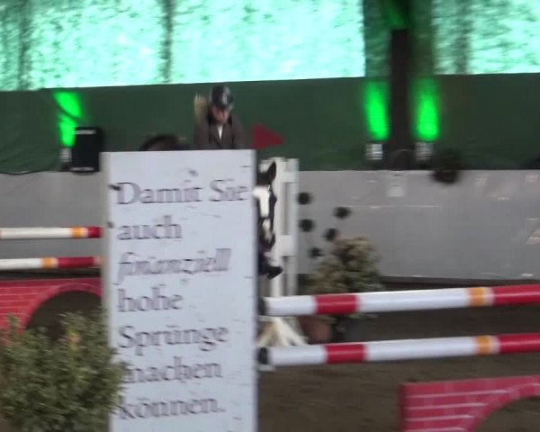 Reitturnier Lindlar-Süttenbach 2016