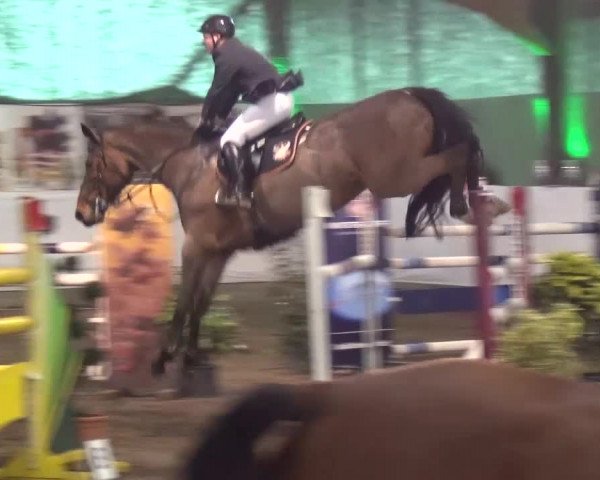 Reitturnier Lindlar-Süttenbach 2016