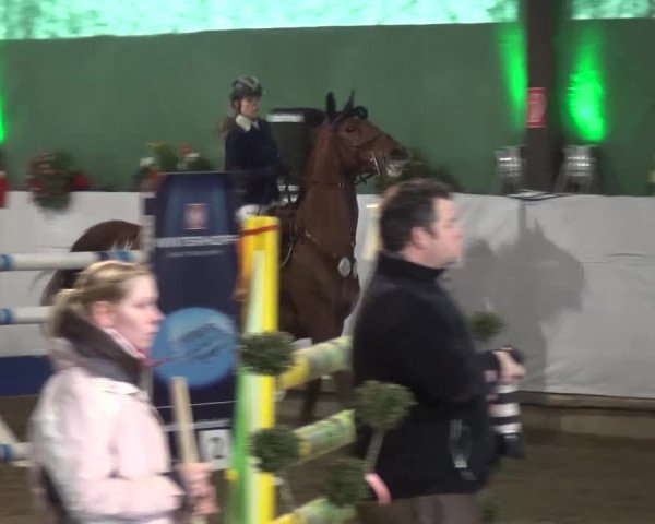 Reitturnier Lindlar-Süttenbach 2016