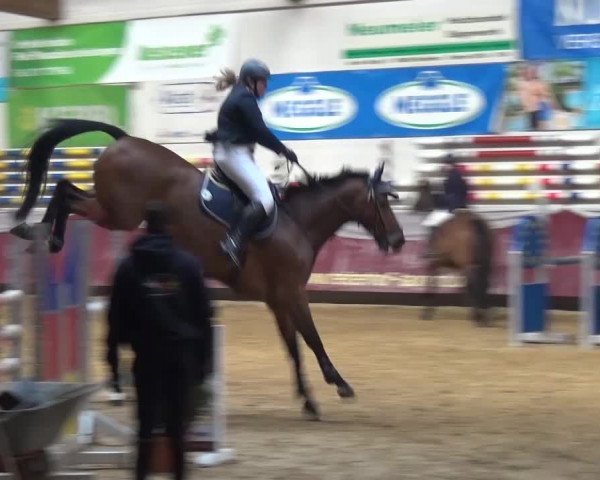 Springturnier Eicherloh - Laurent 2016