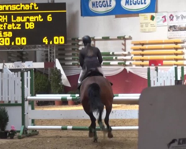 Springturnier Eicherloh - Laurent 2016