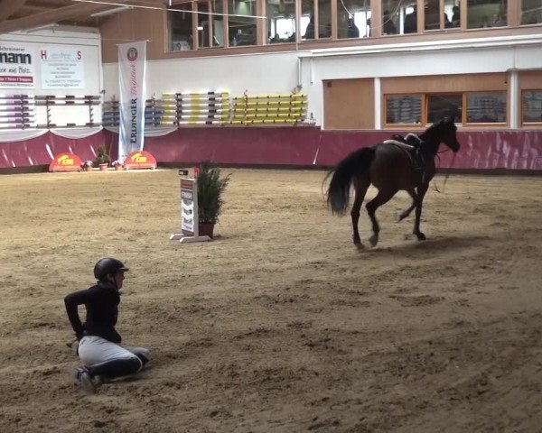 Springturnier Eicherloh - Laurent 2016