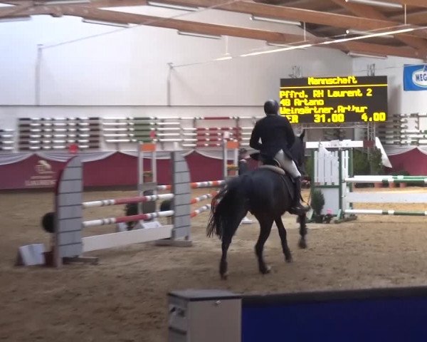 Springturnier Eicherloh - Laurent 2016