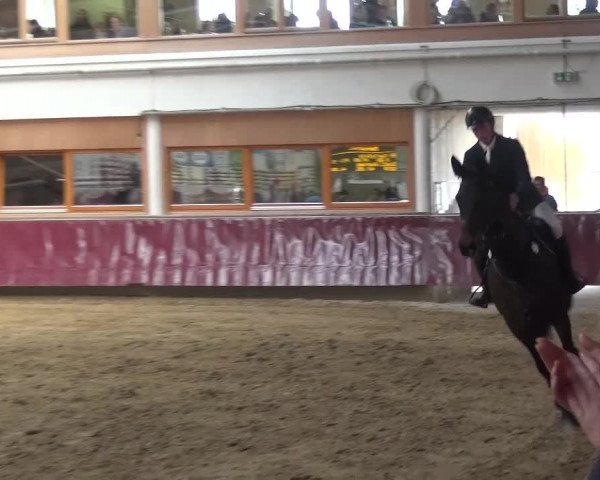 Springturnier Eicherloh - Laurent 2016