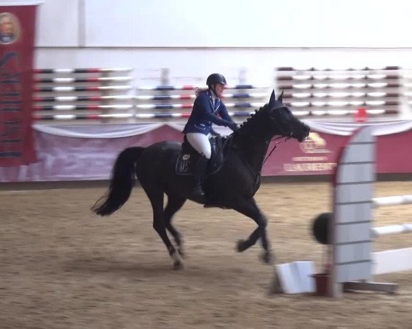 Springturnier Eicherloh - Laurent 2016