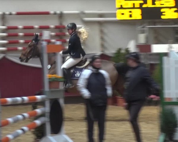 Springturnier Eicherloh - Laurent 2016