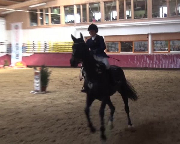 Springturnier Eicherloh - Laurent 2016