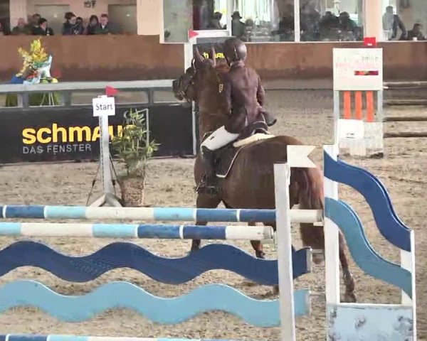 Reitturnier Dettingen 2016