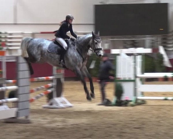 Springturnier Eicherloh - Laurent 2016