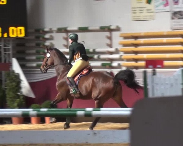 Springturnier Eicherloh - Laurent 2016