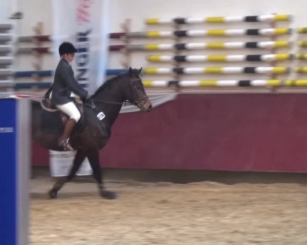 Springturnier Eicherloh - Laurent 2016