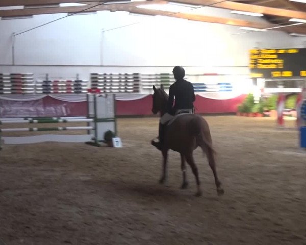 Springturnier Eicherloh - Laurent 2016