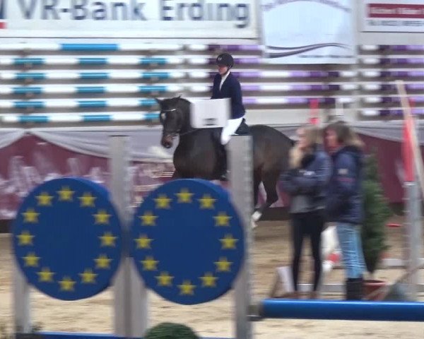Springturnier Eicherloh - Laurent 2016