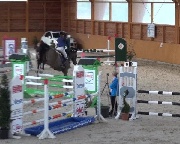 Springturnier Xanten 2016