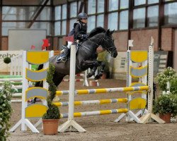 jumper Pinara 2 (German Riding Pony, 2006)