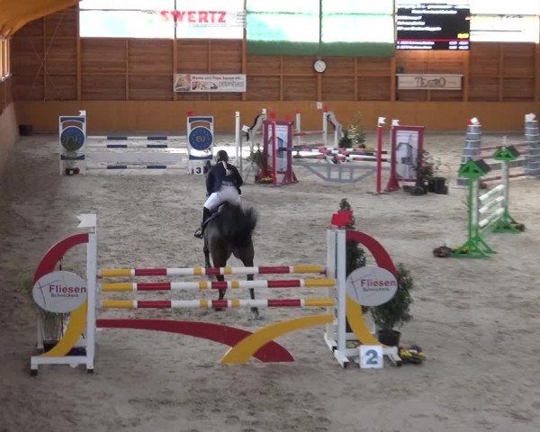 Springturnier Xanten 2016