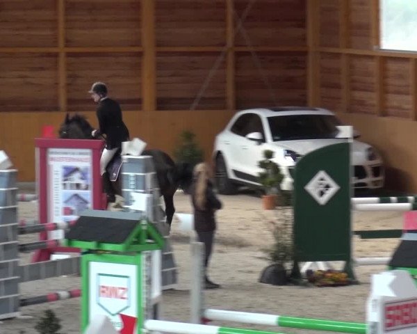 Springturnier Xanten 2016