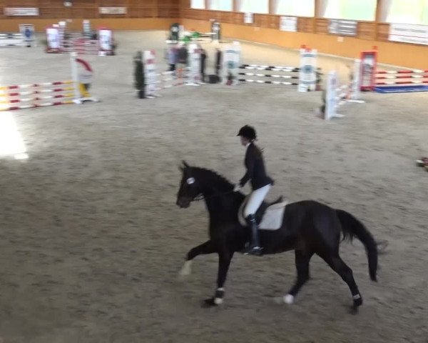 Springturnier Xanten 2016