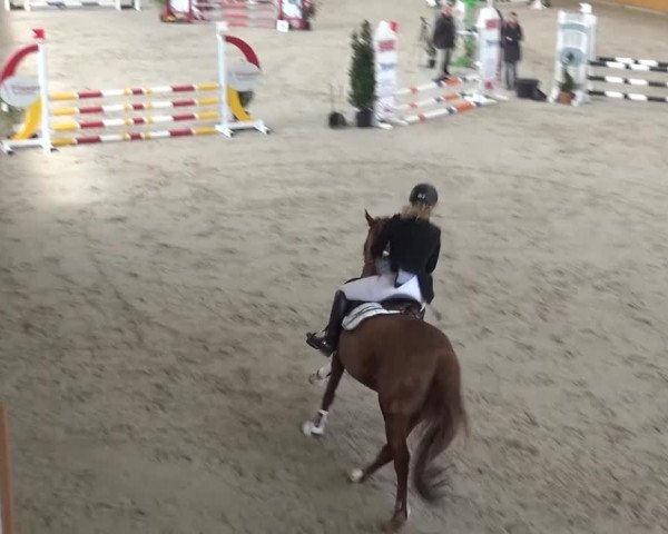 Springturnier Xanten 2016