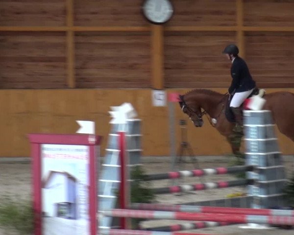 Springturnier Xanten 2016