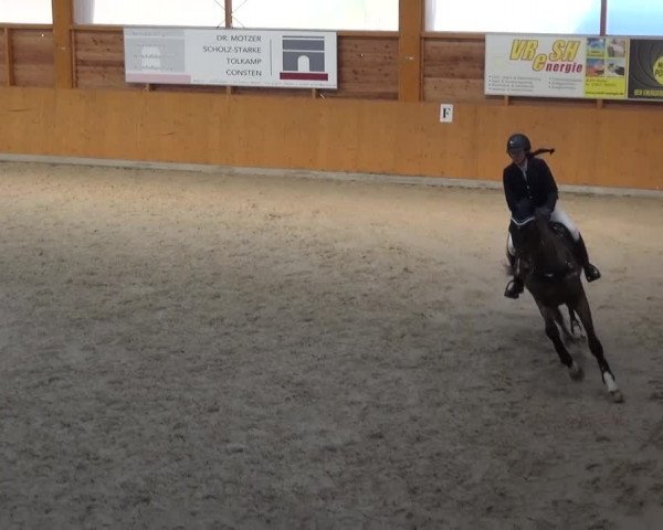 Springturnier Xanten 2016