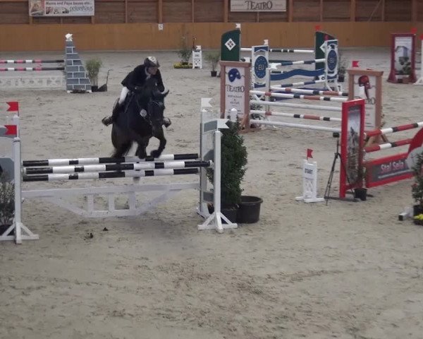 Springturnier Xanten 2016
