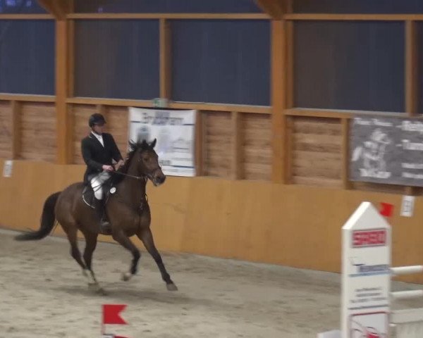 Springturnier Xanten 2016