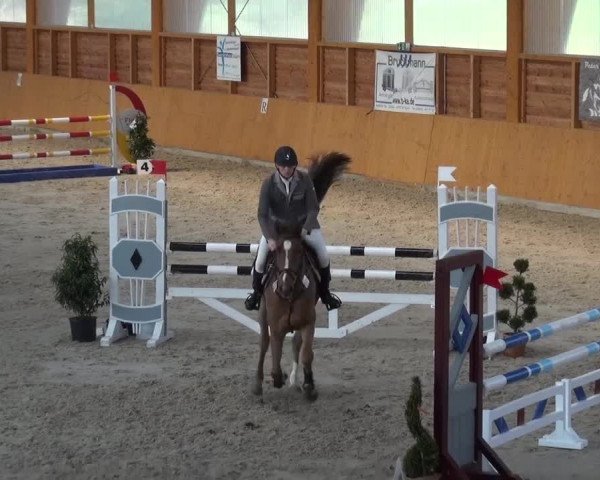 Springturnier Xanten 2016
