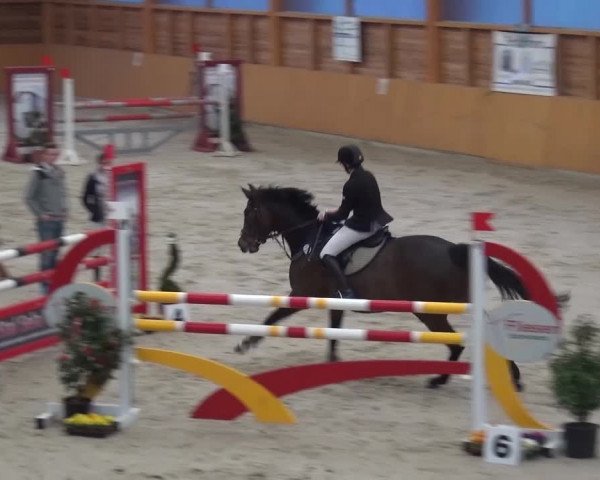 Springturnier Xanten 2016