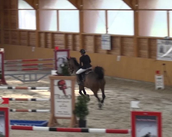 Springturnier Xanten 2016
