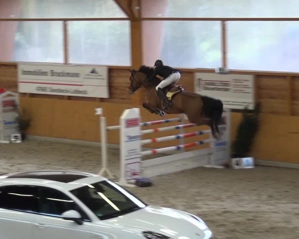 Springturnier Xanten 2016