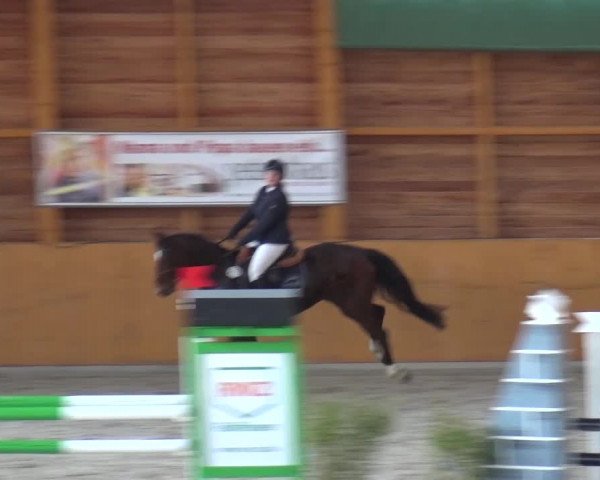 Springturnier Xanten 2016