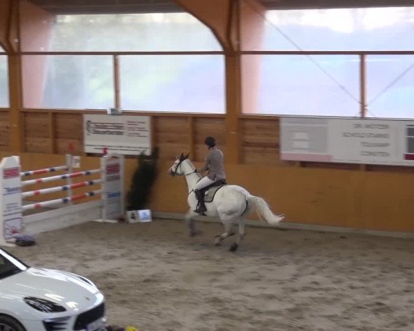 Springturnier Xanten 2016