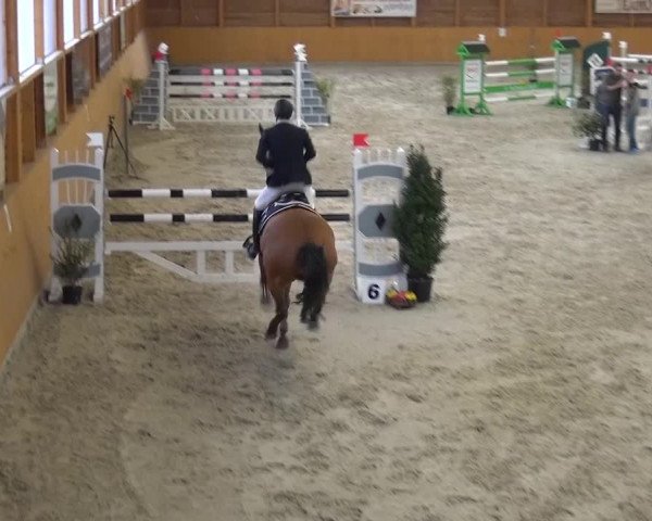 Springturnier Xanten 2016