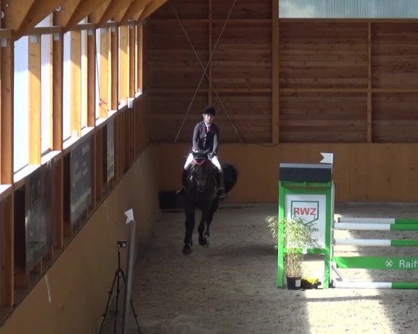Springturnier Xanten 2016