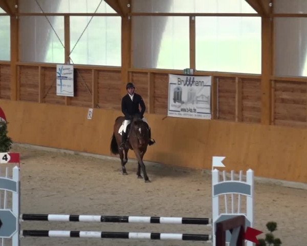 Springturnier Xanten 2016
