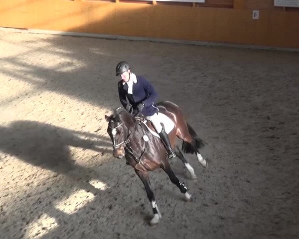 Springturnier Xanten 2016