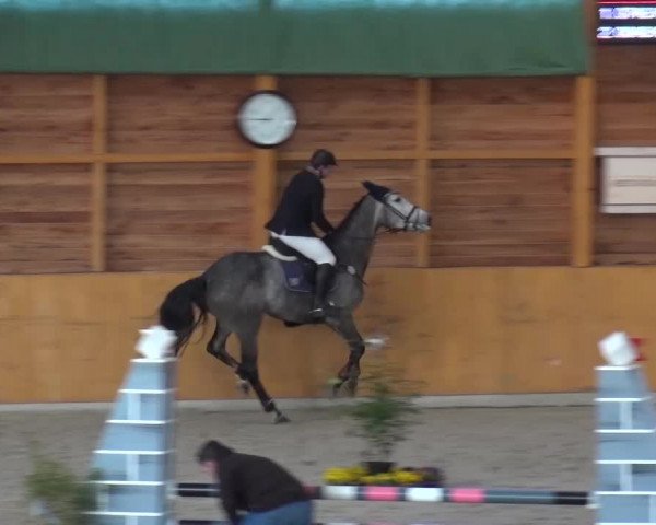Springturnier Xanten 2016