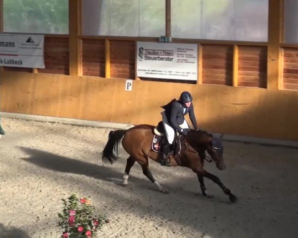 Springturnier Xanten 2016