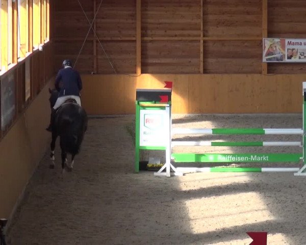 Springturnier Xanten 2016