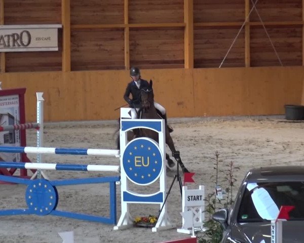 Springturnier Xanten 2016