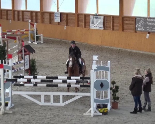 Springturnier Xanten 2016