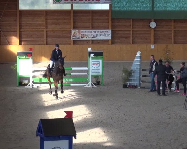 Springturnier Xanten 2016