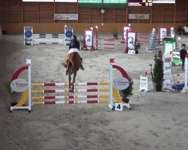 Springturnier Xanten 2016
