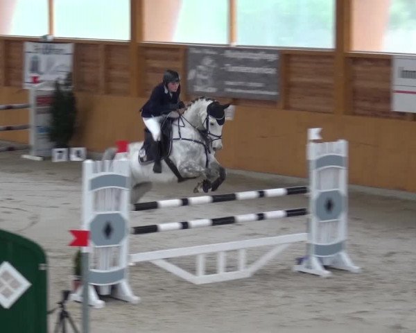 Springturnier Xanten 2016