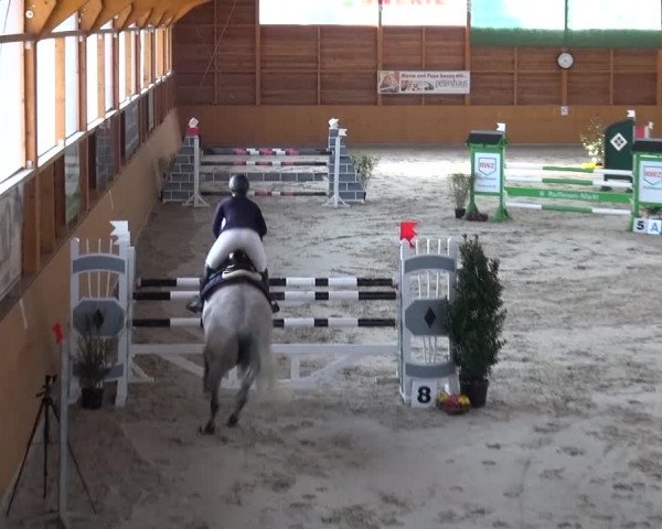 Springturnier Xanten 2016