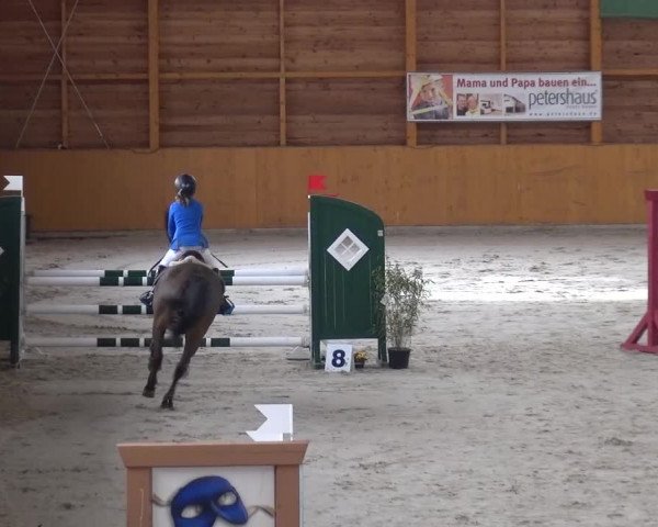 Springturnier Xanten 2016