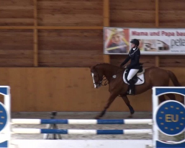 Springturnier Xanten 2016