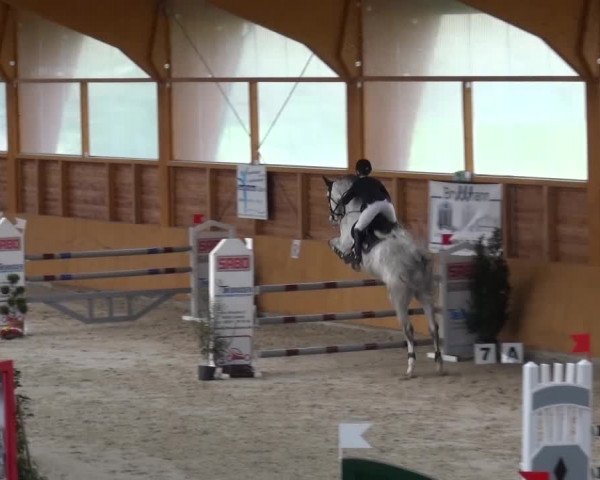Springturnier Xanten 2016
