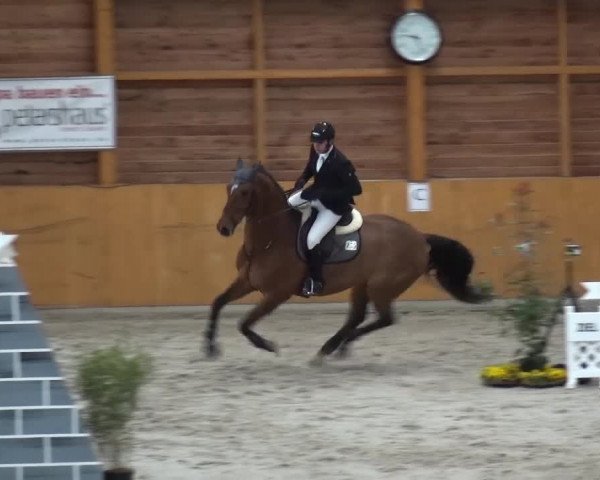 Springturnier Xanten 2016